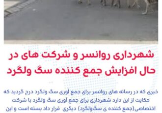 شهراد روانسر برای جمع آوری سگ ولگردباشرکت اختصاصی دیگری قرار داد بستە است