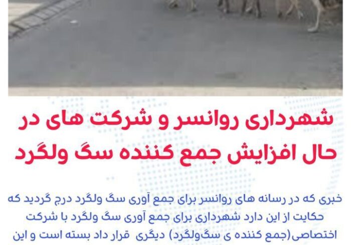 شهراد روانسر برای جمع آوری سگ ولگردباشرکت اختصاصی دیگری قرار داد بستە است