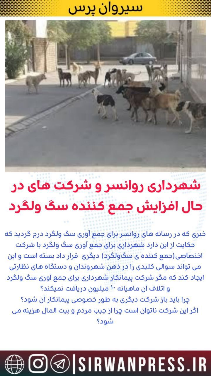 شهراد روانسر برای جمع آوری سگ ولگردباشرکت اختصاصی دیگری قرار داد بستە است