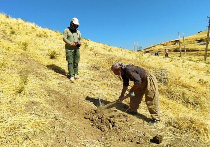 اولین کلنگ علمی باستان شناسی در دل آثار باستانی جوانرود