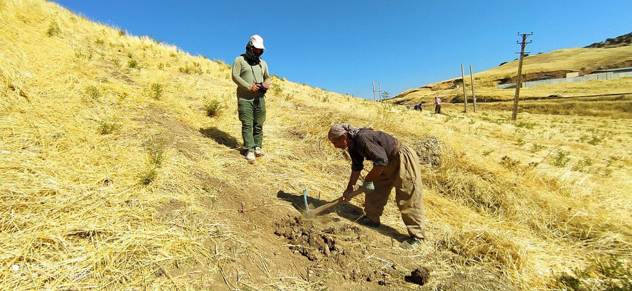 اولین کلنگ علمی باستان شناسی در دل آثار باستانی جوانرود