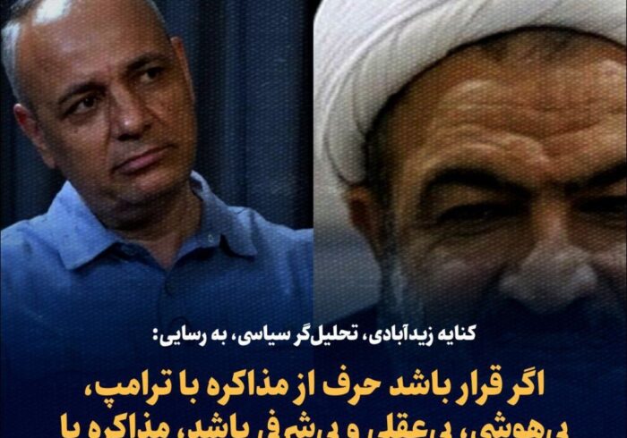 کنایه زیدآبادی، تحلیل‌گر سیاسی، به رسایی