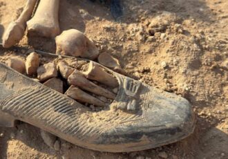 آثار جنابت حکومت بعث صدام در حق به ملت کورد ..