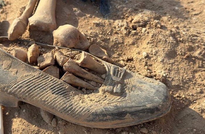 آثار جنابت حکومت بعث صدام در حق به ملت کورد ..