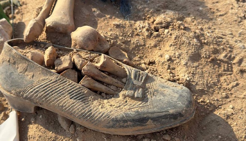 آثار جنابت حکومت بعث صدام در حق به ملت کورد ..